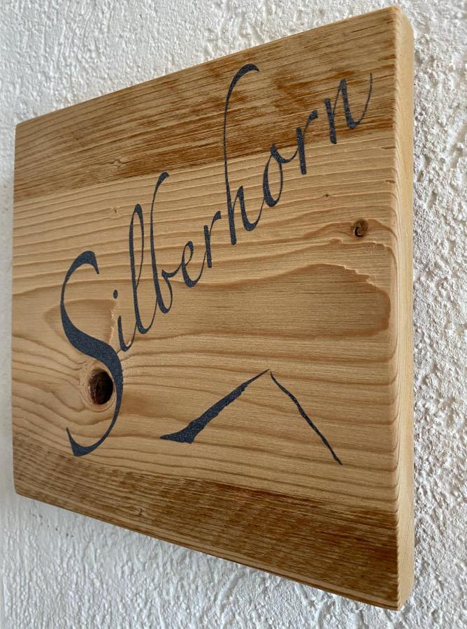 דירות גרינדלוולד Silberhorn מראה חיצוני תמונה